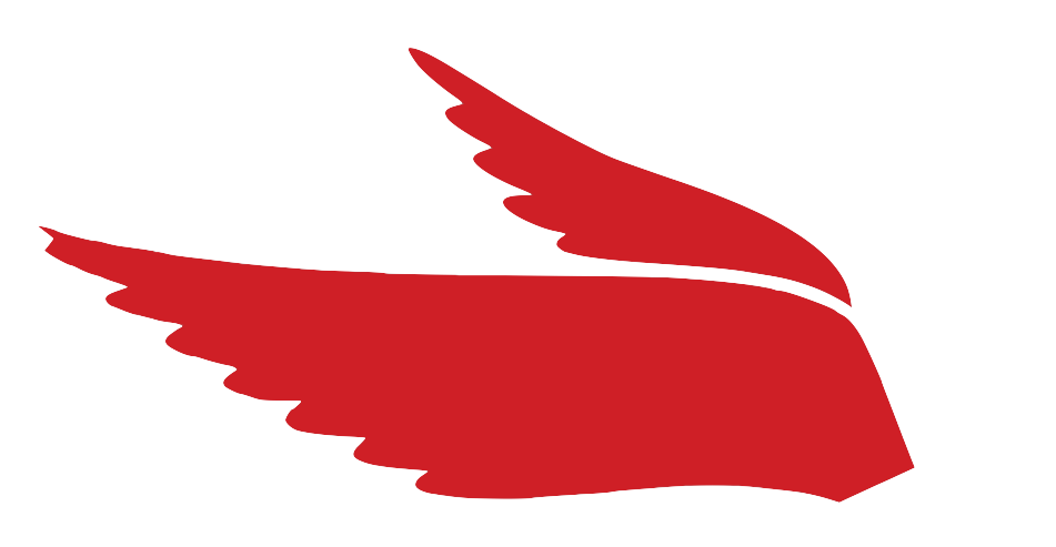 Two Wings Coffee Logo